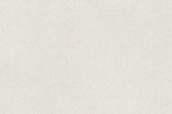 15023-2 Обои Alessandro Allori Argiano