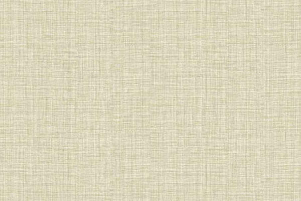 Z21838 Обои Zambaiti Parati Trussardi 5