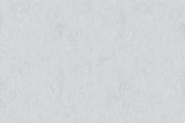 60111-3 Обои Bruno Zoff Silver