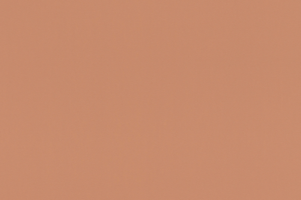 807608 Обои Rasch Salsa