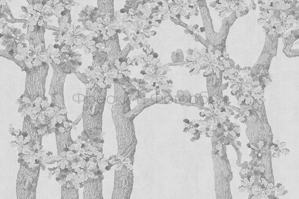 ID136002 Бесшовные фотообои Affresco Ботаника