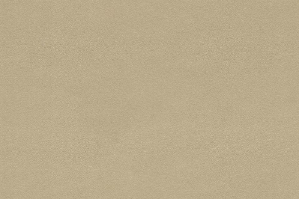806892 Обои Rasch Salsa