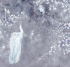 AB124-COL5 Бесшовные фрески Affresco VESNA