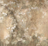 ID135983 Бесшовные фотообои Affresco Ботаника