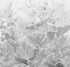 AF514-COL2 Бесшовные фрески Affresco Atmosphere