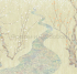 ID136097 Бесшовные фотообои Affresco Ботаника