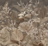 ID137602 Бесшовные фотообои Affresco Ботаника