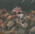 AF2081-COL4 Бесшовные фрески Affresco Rio