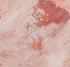 AF2073-COL5 Бесшовные фрески Affresco FLUID