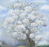 ID136078 Бесшовные фотообои Affresco Ботаника