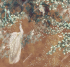 AB124-COL2 Бесшовные фрески Affresco VESNA
