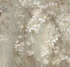 ID136001 Бесшовные фотообои Affresco Ботаника