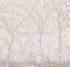 ID136082 Бесшовные фотообои Affresco Ботаника