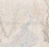 ID136123 Бесшовные фотообои Affresco Ботаника