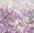 AF508-COL4 Бесшовные фрески Affresco Atmosphere