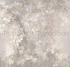 ID135994 Бесшовные фотообои Affresco Ботаника