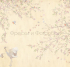 6883 Бесшовные фотообои Affresco Ботаника