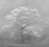 34997 Бесшовные фрески Ortograf Vento